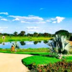 WhatsApp Image 2022-09-20 at 12.13.59 (1)