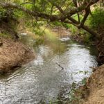 WhatsApp Image 2022-09-20 at 18.17.52 (11)