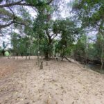 WhatsApp Image 2022-09-20 at 18.17.52 (12)