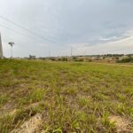 WhatsApp Image 2022-09-20 at 18.17.52