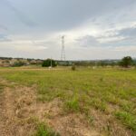 WhatsApp Image 2022-09-20 at 18.17.52 (3)