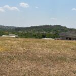 WhatsApp Image 2024-10-07 at 09.51.15