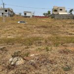 WhatsApp Image 2024-10-07 at 09.51.16 (1)