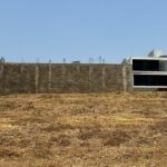 WhatsApp Image 2024-10-07 at 09.51.17 (2)