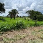 WhatsApp Image 2024-11-13 at 15.23.36 (1)