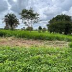 WhatsApp Image 2024-11-13 at 15.23.36