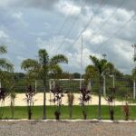 WhatsApp Image 2024-11-13 at 15.23.37 (1)