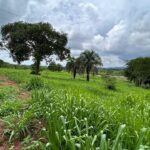 WhatsApp Image 2024-11-13 at 15.23.37