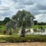 WhatsApp Image 2024-11-13 at 15.23.37 (2)