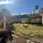 WhatsApp Image 2025-02-26 at 13.42.29