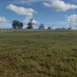 WhatsApp Image 2025-08-05 at 13.32.51