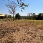 WhatsApp Image 2025-09-17 at 16.51.14