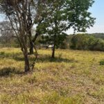 WhatsApp Image 2025-09-17 at 16.51.15 (3)