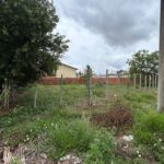 WhatsApp Image 2025-12-09 at 11.34.09 (2)