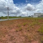 WhatsApp Image 2026-02-02 at 14.16.20