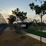 WhatsApp Image 2026-03-20 at 09.22.15 (4)